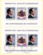 Luxembourg 1981. Grand Duc Jean De Luxembourg BF N° 13 X 2 - Oblitérés