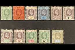 1903 Complete Set, SG 104/114, Very Fine Mint, The 5d, 6d, 1s And 5s Are Never Hinged. (11 Stamps) For More Images, Plea - Fiji (...-1970)