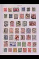 1892-1954 MINT & USED COLLECTION / ACCUMULATION Interesting Ranges, Haphazardly Arranged On Album Pages, We See 1892-3 5 - Other & Unclassified