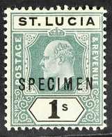 1902-03 1s Green And Black Wmk Crown CA With DAMAGED FRAME AND CROWN Additionally Overprinted "SPECIMEN", SG 62as, Very  - St.Lucia (...-1978)