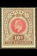 NATAL 1902 10s Deep Rose & Chocolate, Wmk Crown CC, SG 141, Very Fine Mint. For More Images, Please Visit Http://www.san - Unclassified