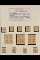 ORANGE FREE STATE 1897 MINT COLLECTION In Hingeless Mounts On Pages, Includes 1897 ½d (x41, Incl Three Blocks Of 4 And O - Unclassified