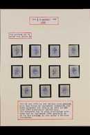 ORANGE FREE STATE 1896 ½d On 3d Ultramarine Surcharges (SG 69/75) Mint Study Collection In Hingeless Mounts On Pages, In - Non Classificati