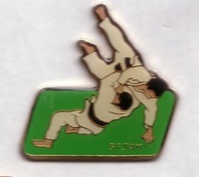 C135 Pin's JUDO SFJAM Société Française De Judo Et D'arts Martiaux  Version 3 Vert Achat Immédiat - Judo