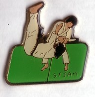 C136 Pin's JUDO SFJAM Société Française De Judo Et D'arts Martiaux Vert Achat Immédiat - Judo