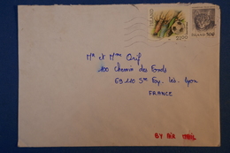 B78 ISLAND LETTRE 1990 POUR LA FRANCE LYON PAR AVION - Brieven En Documenten