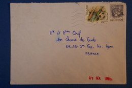 B78 ISLAND LETTRE 1990 POUR LA FRANCE LYON PAR AVION - Briefe U. Dokumente