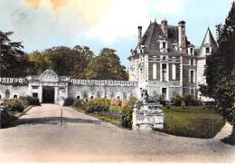 ** Lot De 2 Cartes ** 41 - SELLES Sur CHER : Le Chateau - CPA - Loir Et Cher - Selles Sur Cher