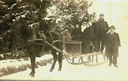 Transport    Attelage De Traîneaux   Carte Photo - Andere & Zonder Classificatie