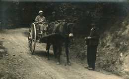 Transport    Attelage Cheval - Sonstige & Ohne Zuordnung