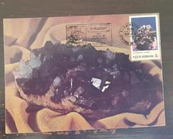 ROUMANIE Minéraux, Fossiles.Yvert N°3627/32: Oblitération Temporaire Illustrée "MUSEEUL DE MINERALOGIE" 15/01/1988 (C) - Minerali