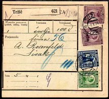 YUGOSLAVIA 1924 Parcel Card With Definitive Franking And 5 D. On 8 D. Surcharge - Cartas & Documentos