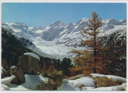 Moratschgletscher - Foto/Verlag C. Filli Celerina - Gelaufen Ab Cinous-Chel - Celerina/Schlarigna