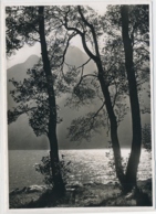 Lago Di Poschiavo - Le Prese - Foto/Verlag Ed. M. Zanetti Poschiavo - Gelaufen Ab Le Prese - Poschiavo