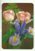 1988 Pocket Calendar Calandrier Calendario Portugal Flores Flowers Fleurs Rosas Roses - Grand Format : 1981-90