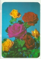 1988 Pocket Calendar Calandrier Calendario Portugal Flores Flowers Fleurs Rosas Roses - Grand Format : 1981-90