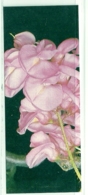 1998 Pocket Calendar Calandrier Calendario Portugal Flores Flowers Fleur - Grand Format : 1991-00