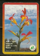 1996 Pocket Calendar Calandrier Calendario Portugal Flores Flowers Fleur Pintura Painting APARF - Grand Format : 1991-00