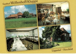 HERZFELD Lippetal 4-geteilte Private AK " Gasthof Möllenhof-Kluppe Inh.Peter Schäfer " - Lippstadt