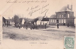 COMBLES           GRANDE MARE        PRECURSEUR - Combles