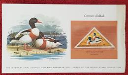 MONGOLIE, CANARDS, Pato, Duck, Sur Enveloppe émis En 1973. COMMON SHELDUCK - Entenvögel