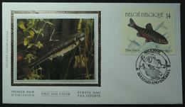 FDC Sur Soie Poisson Vairon Bruxelles 1990 - 1981-1990