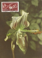 6706 " NATUR SCHUTZ WOCHE - 20/4/1957 - PAPHIOPEDILUM LAWRENCIANUM " FDC - 1st Day – FDC (sheets)