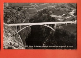 PCO-34 Route Martigny-Salvan, Pont Du Gueuroz Sur Les Gorges Du Trient.  SG 6593, Non Circulé - Martigny