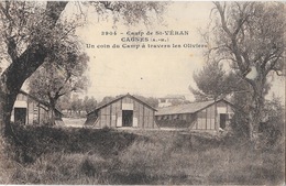 Camp Militaire De St Saint-Véran, Cagnes - Un Coin Du Camp à Travers Les Oliviers - Carte N° 3904 - Barracks