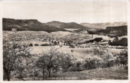 CPA   ALLEMAGNE---BALINGEN BERGE---I . VODERGRUND ZHLHAUSEN - Balingen