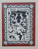 Ex-libris Illustré Fin Du XIXème -  ADOLFI MATTHIAE HILDEBRANDT - Ex-Libris