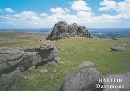 Postcard Haytor Dartmoor Devon My Ref  B24182 - Dartmoor