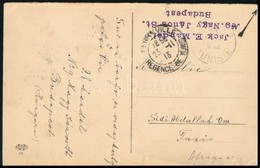 1913 TCV Képeslap Turul 10f Bérmentesítéssel Tunéziába (Sidi Abdallah Om) Küldve "FERRYVILLE / REGENCE DE TUNIS" + "TUNI - Sonstige & Ohne Zuordnung