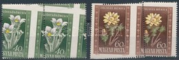** 1950 Virág (I.) 40f, 60f Párok Képbe Fogazva - Sonstige & Ohne Zuordnung