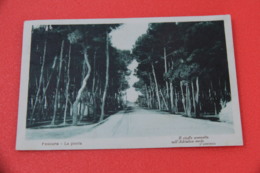 Pescara La Pineta 1924 Ed. Donatelli - Pescara