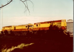 Photographie D'un Train B496 - Reproduction - Trains