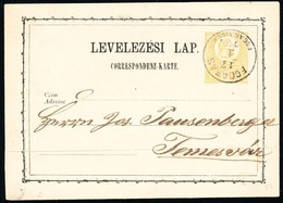 1873 Díjjegyes Levelezőlap / PS-card "FOGARAS FOGAR. VIDÉK" - Temesvár - Autres & Non Classés