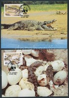 1984 WWF Nílusi Krokodilok Sor Mi 517-520 4 CM - Sonstige & Ohne Zuordnung