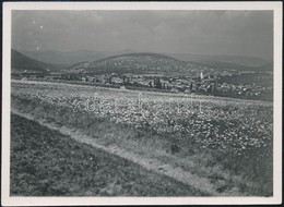 1937 Szokolya, Kinszki Imre (1901-1945) Budapesti Fotóművész Hagyatékából, Jelzés Nélküli Vintage Fotó, A Szerző által F - Autres & Non Classés