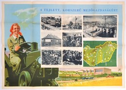 Cca 1954 A Fejlett, Korszerű Mezőgazdaságért - Plakát, Kiadja: Magyar Függetlenségi Népfront Országos Tanácsa, Hajtott,  - Sonstige & Ohne Zuordnung