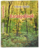 Fekete István: Barangolások. Bp.,(2003),Szent Gellért. Kiadói Kartonált Papírkötésben. - Ohne Zuordnung
