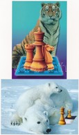 ** 10 Db MODERN Caissa Kft. Sakk Motívumlap: állatokkal / 10 Modern Chess Motive Postcards: Animals - Non Classés