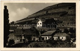 T1/T2 1950 Badacsony, Kisfaludi Ház - Ohne Zuordnung