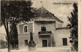 T2/T3 1916 Algyógy, Geoagiu; Földműves Iskola, 1848-49-es Szabadságharc Emlékmű. Adler Fényirda / Farmer School, Monumen - Non Classés