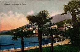 T2/T3 1928 Abbazia, Opatija; Un Gruppo Di Palme / Palm Trees (EK) - Non Classés