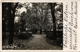 T2 1932 Versec, Werschetz, Vrsac; Park / Park. Photo - Ohne Zuordnung