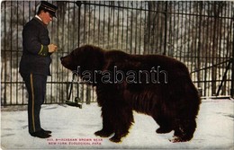 ** T2/T3 New York City, New York Zoological Park, Alaskan Brown Bear (EK) - Unclassified