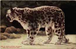 ** T2 New York City, New York Zoological Park, Snow Leopard, Or Ounce - Unclassified
