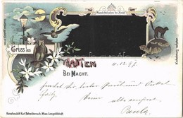 T2/T3 1897 (Vorläufer!) Wien, Vienna, Bécs; Bei Nacht. Neueste Aufnahme Bei Nacht / At Night, Owls, Bats, Black Cat, Spi - Ohne Zuordnung