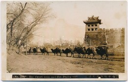 ** Beijing, Peking; The Camel Train And The Peking Wall. No. 34. Hard-backed Photo (non PC) - Non Classés